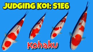 Judging Koi: S1E6 Kohaku
