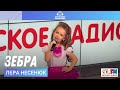 Лера Несенюк - Зебра (LIVE на Детском радио)