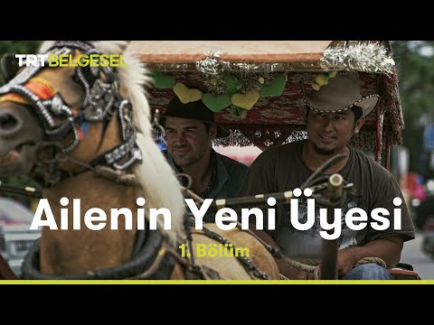 Ailenin Yeni Üyesi | Sumatra | TRT Belgesel