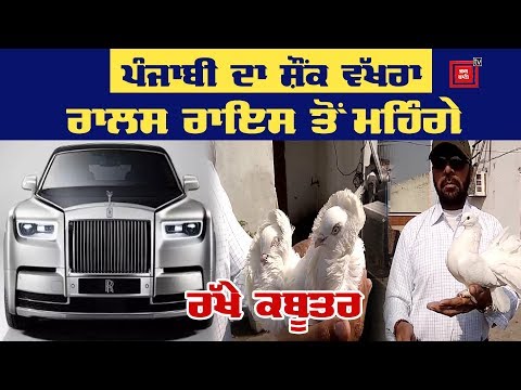 7 Crore ਦੇ ਕਬੂਤਰ ਰੱਖਣ ਵਾਲਾ ਸ਼ੌਕੀਨ Punjabi, ਠੁਕਰਾਇਆ ਗੋਰਿਆਂ ਦਾ Offer