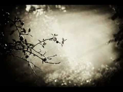 Circadian Eyes-The Memory Is Fleeting