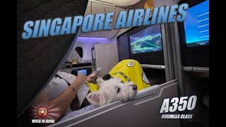 Singapore Airlines A350 Business Class with Dog on a Plane | Singapore to Bangkok by Wylie Westie 686 views 4 months ago 5 minutes, 36 seconds
