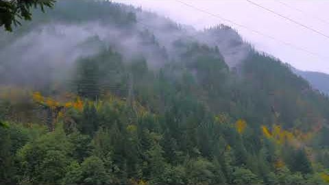 وَالْوَزْنُ يَوْمَئِذٍ الْحَقُّ تلاوة الشيخ معتز الغنام