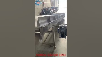 Băng tải xích inox