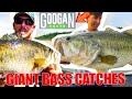 Googan Squad BEST Bass Fishing CATCHES of ALL TIME Compilation!