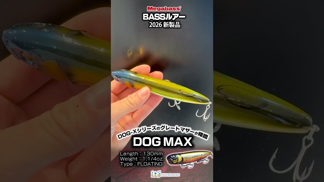 メガバスDOG-Xシリーズのグレートマザー130mmのビッグペンシル「ドッグ