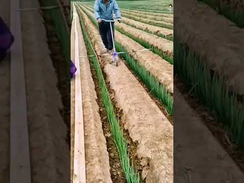Video: April Hagearbeid – tips for hagearbeid i Ohio-dalen denne måneden