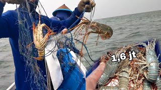 Hasil Menjaring lobster Hari ini 1,6 jt🤑 Mantap sekali spot ini