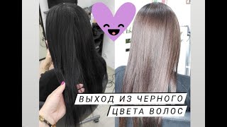 Выход из чёрного цвета волос. Поэтапный видео урок. Смывка чёрного цвета. Смывка краски.