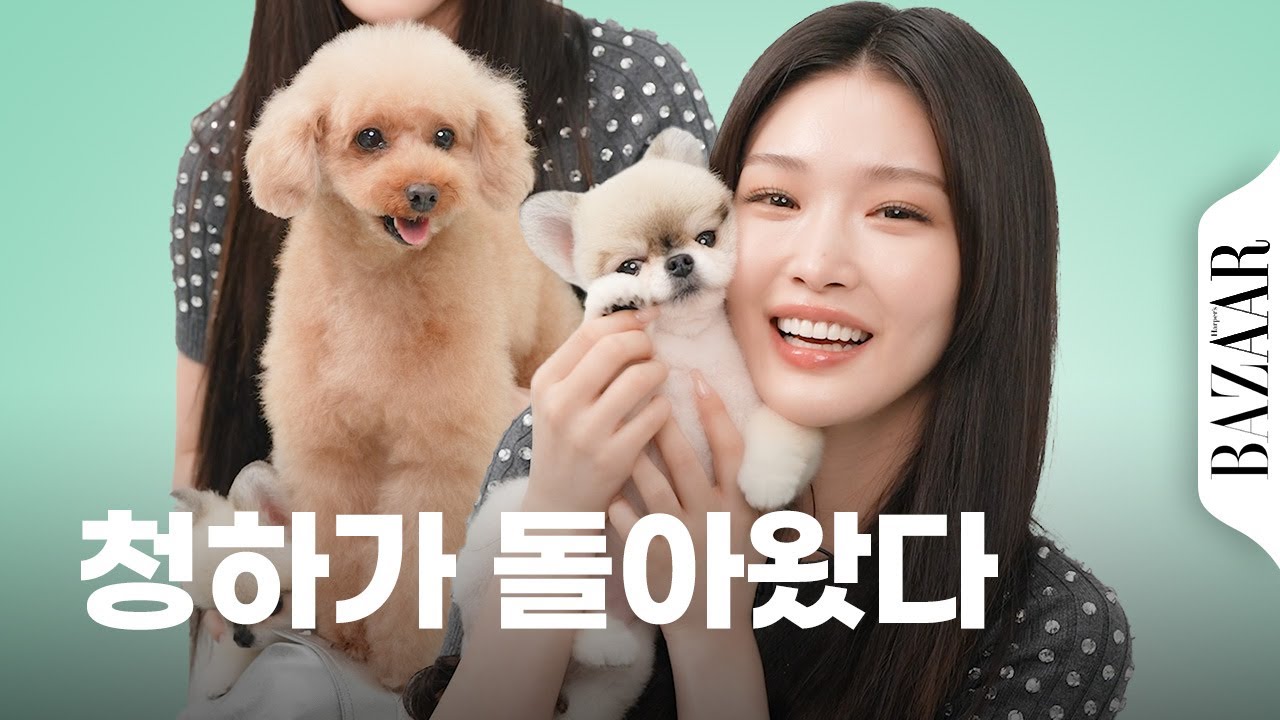 #청하 를 찾고 있는 당신, 이 영상이 #알고리즘 에 떴다면 지금 당장 시청하세요!