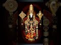 day 4 (Saturday Venkateswara Swamy) #Tirupati#Balaji#vaikuntapuram,