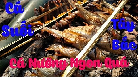 Bắt Cá Suối | Cá Bống Tây Bắc ✓ Poòng Văn Quỳnh