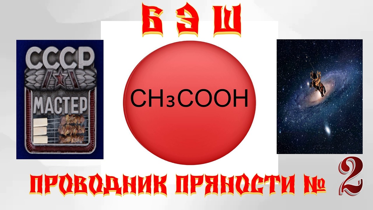 БЭШ. КОВАРНЫЙ, БЕСПОЩАДНЫЙ  CH₃COOH ПРОВОДНИК ПРЯНОСТЕЙ ДЛЯ ШАШЛЫКА №2 шашлык мангал шампур плов