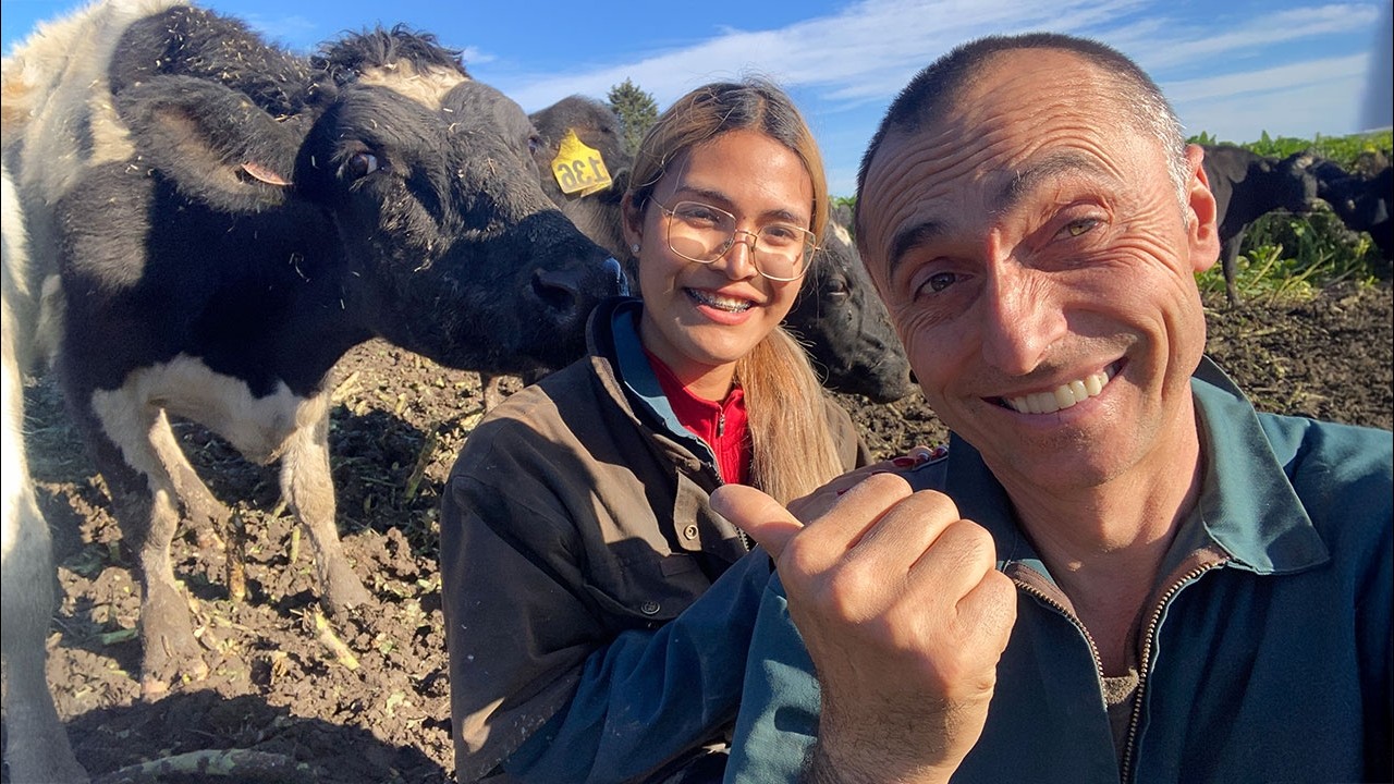 REGINA PLANTELOR FURAJERE: KALE!