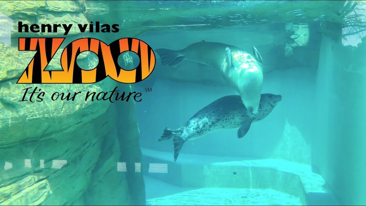 Henry Vilas Zoo