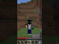 Minecraft Syringe Flies Feeling Moments #shorts