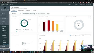 Carbon Black Container Scanning Part 1: Scanning Overview