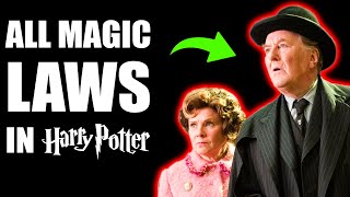 Every Magical Law in the Wizarding World  Harry Potter Explained