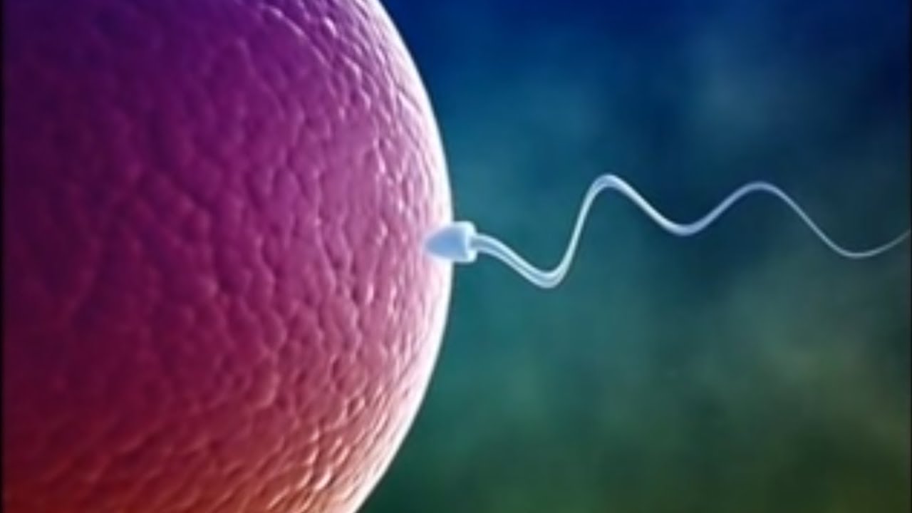 HEALING OVARIES WITH MEDITATION MUSIC - PROPER MENSTRUATION   ENHANCE FERTILITY   PREGNANCY