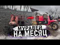 ШКОЛЬНИК СОБИРАЕТ МУРАВЬЯ│ДАРИМ ВТОРУЮ ЖИЗНЬ МОТОРОЛЛЕР МУРАВЕЙ 2М │1 СЕРИЯ