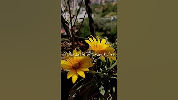 "والذين ءامنوا وعملوا الصالحات سندخلهم جنات تجري من تحتها الانهار.."| سورة النساء.