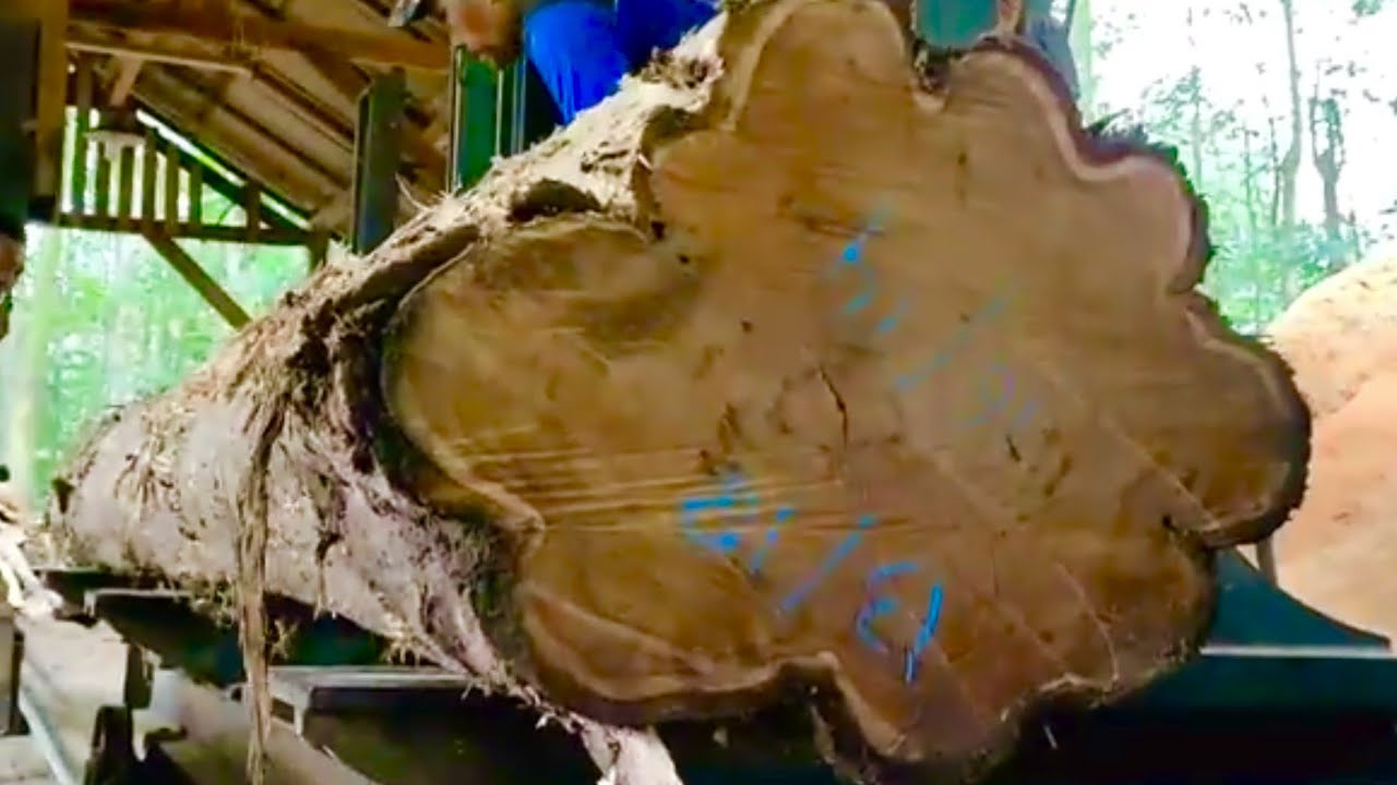 🌲Распиливание старой и крупной тиковой древесины на красивые блоки🌲