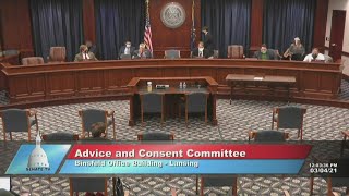 Michigan Department of Health and Human Services testimony