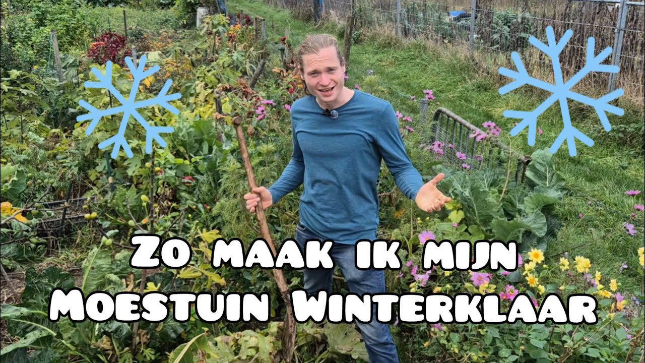 Maak je moestuin klaar voor de winter (zonder te spitten!)