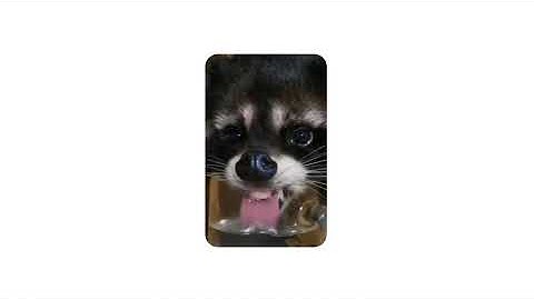 Get a Battery That Lasts Refreshingly Long With Pixel