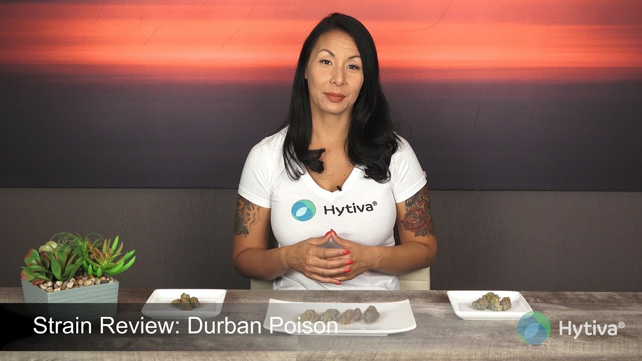 Strain Review: Durban Poison