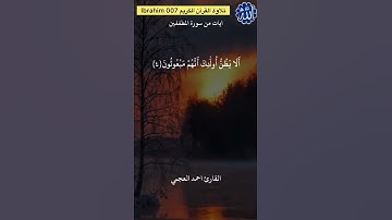 تلاوة القرآن الكريم ￼