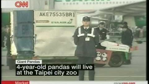 Jonathan Lai reporting panda arrival live on CNN