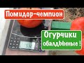 Огурчики обалдЫнные !