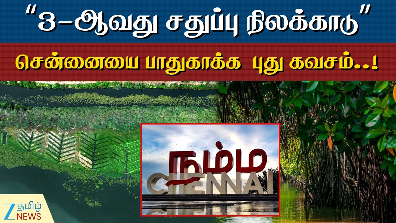 Mangrove Forest | சென்னையில் 3-ஆவது சதுப்பு நிலக்காடு. பள்ளிக்கரணை போல பிரம்மாண்டம்.!
