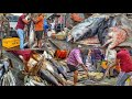 बडी मछली का बाजार |Big Fish Market CST Mumbai
