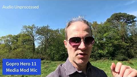 GoPro Hero 11 - Which mic is best? Internal v MediaMod v External shootout