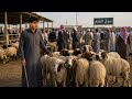 بدأت قناة حلو الكلام ابو فهد بث ا مباشر ا ورثنا من جدي وشراكتي مع ابن عمي وبداية تجارتي 