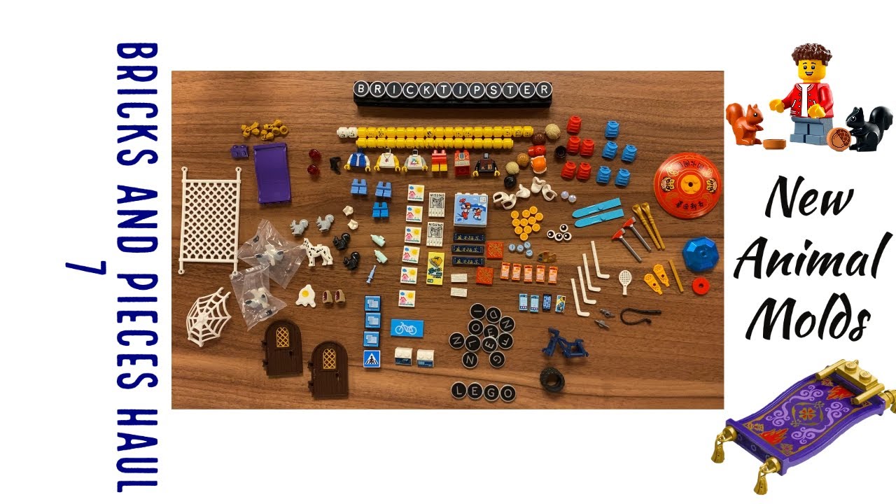 LEGO Bricks and Pieces Haul 7