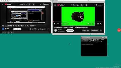 Windows BSOD Compilation Part 15 Has BSOD^15