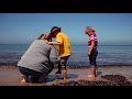 Narragunnawali Awards 2017 – Balnarring Pre-School (Finalist)