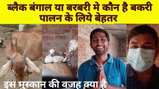 Black Bengal Ya Barbari Dono me kaun hai  Goat Farming  Ke liye hai Best | Nalanda | Bihar | India