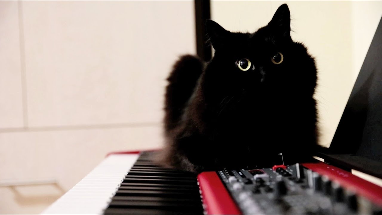 しおちゃんの、Making of Christmas in NY 2013 - YouTube