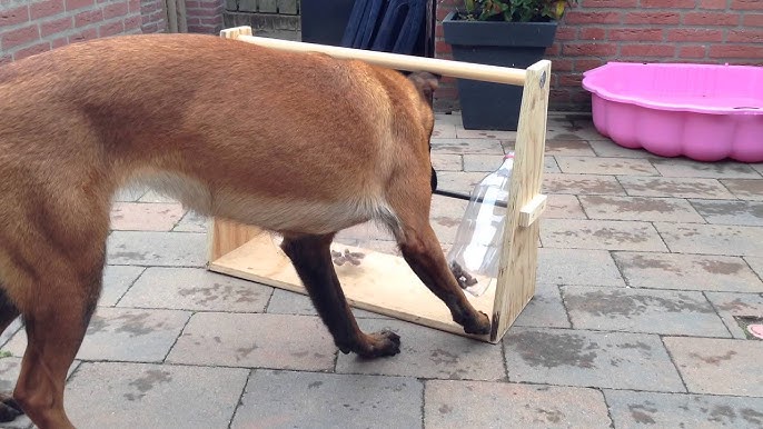 How to Make A Spinning Bottle Puzzle Feeder For Dogs