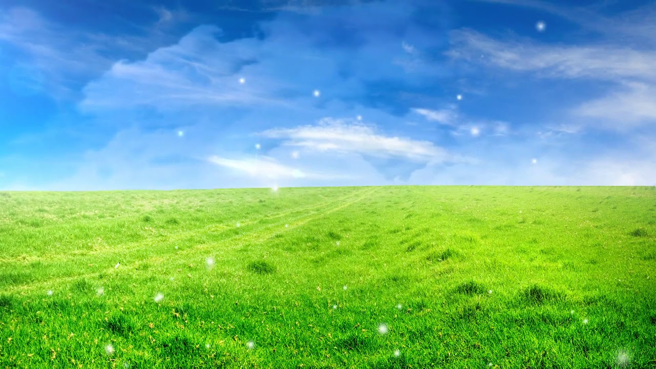 How to remove economic problems