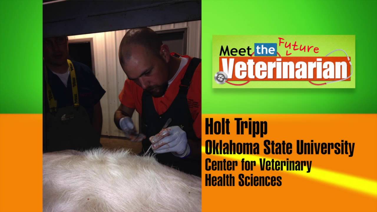 Meet the Vet Holt Tripp YouTube