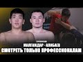 Смотреть только профессионалам. Амир Малгаждар vs Султан Алибаев.