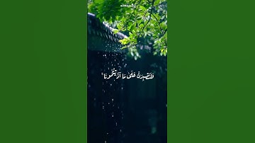#شورت #قرآن #quran #غزة #فلسطين #standwithpalastine #اسلام_صبحي القارئ: اسلام صبحي @islam_sobhi