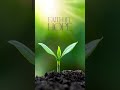 Morning Meditations: Faith in Hope by Saleem Little  #writersblock #motivation #meditation #morning