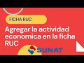 Agregar o cambiar actividad economica en ficha RUC