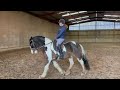 72.5% 1st place . Laura Rose and Borough's Doorman. November E Riders Prelim 2a Restricted.